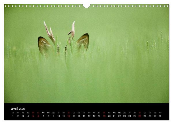 Produktbild: Tr&eacute;sors des Vosges (Calendrier mural 2026 DIN A3 vertical), CALVENDO calendrier mensuel