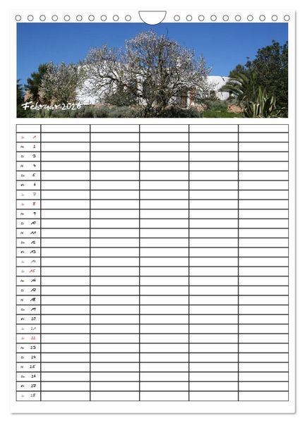 Produktbild: Ibiza / Familienplaner (Wandkalender 2026 DIN A4 hoch), CALVENDO Monatskalender