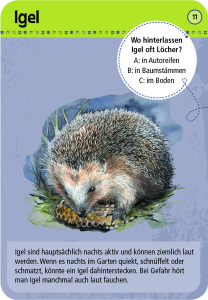 Produktbild: Expedition Natur 50 Tiere der Nacht