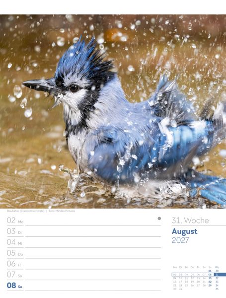 Produktbild: V&ouml;gel Wochenplaner Kalender 2027
