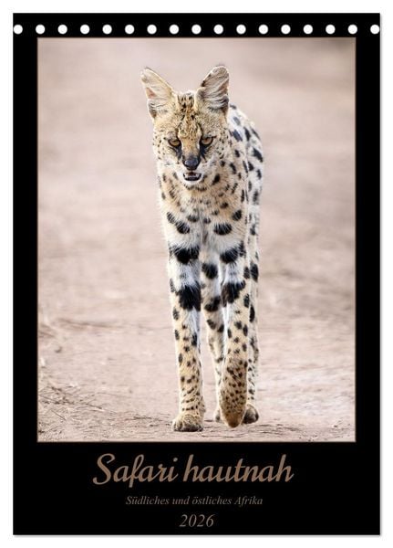 Produktbild: Safari hautnah - S&uuml;dliches und &ouml;stliches Afrika (Tischkalender 2026 DIN A5 hoch), CALVENDO Monatskalender