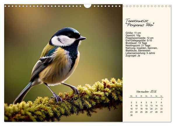 Produktbild: Meisen richtig erkennen (Wandkalender 2026 DIN A3 quer), CALVENDO Monatskalender