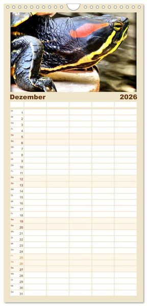 Produktbild: Familienplaner 2026 - Schmuckschildkr&ouml;ten - Schmuckst&uuml;cke der Natur mit 5 Spalten (Wandkalender, 21 x 45 cm) CALVENDO