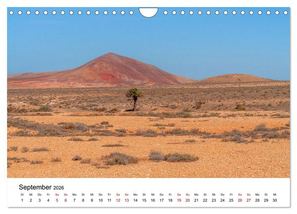 Produktbild: B&auml;ume - Wunder der Natur (Wandkalender 2026 DIN A4 quer), CALVENDO Monatskalender