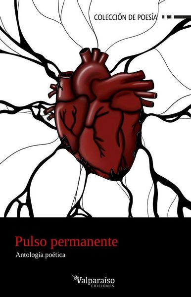 Produktbild: Pulso permanente