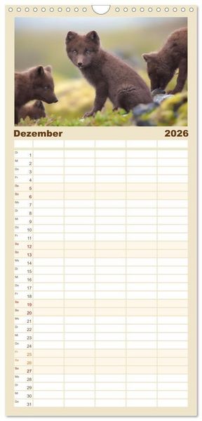 Produktbild: Familienplaner 2026 - Polarfuchs-Welpen mit 5 Spalten (Wandkalender, 21 x 45 cm) CALVENDO