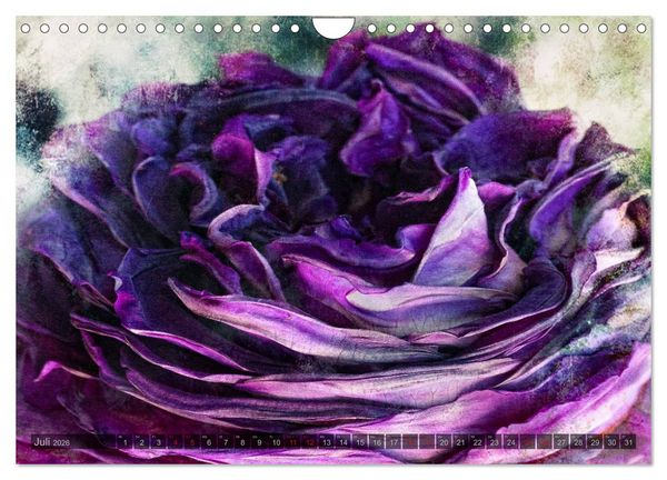 Produktbild: Gothic Rose - Rosen aus dem Garten der Finsternis (Wandkalender 2026 DIN A4 quer), CALVENDO Monatskalender