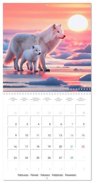 Produktbild: Animals of Arctic (Wall Calendar 2026 12 &times; 12 Inch) CALVENDO 12 Month Wall Calendar