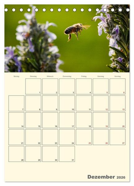 Produktbild: Bienen im Naturgarten (Tischkalender 2026 DIN A5 hoch), CALVENDO Monatskalender