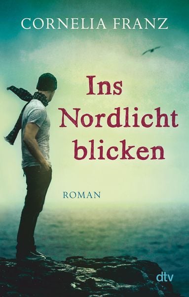 Ins Nordlicht blicken, Taschenbuch von Cornelia Franz, dtv