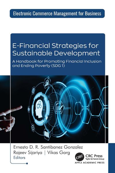 Produktbild: E-Financial Strategies for Sustainable Development