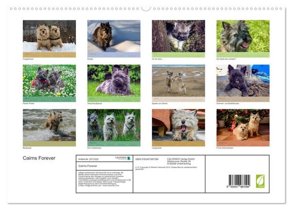 Produktbild: Cairns Forever (hochwertiger Premium Wandkalender 2026 DIN A2 quer), Kunstdruck in Hochglanz