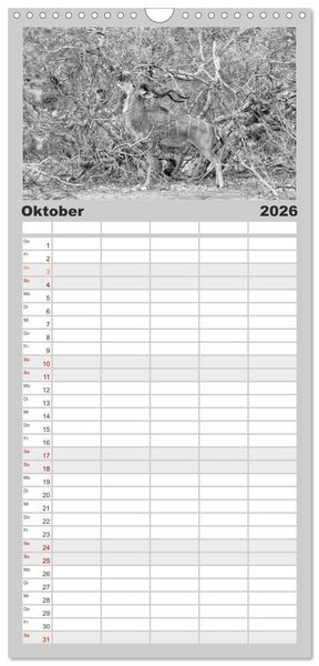 Produktbild: Familienplaner 2026 - Afrika Schwarz - Weiss mit 5 Spalten (Wandkalender, 21 x 45 cm) CALVENDO