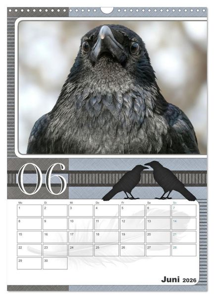 Produktbild: Kr&auml;hen - Clever notiert! Mit K&ouml;pfchen durchs ganze Jahr (Wandkalender 2026 DIN A3 hoch), CALVENDO Monatskalender