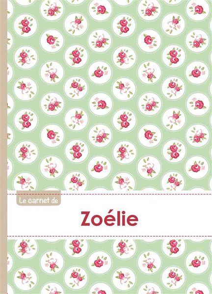 Produktbild: Carnet zoelie lignes,96p,a5