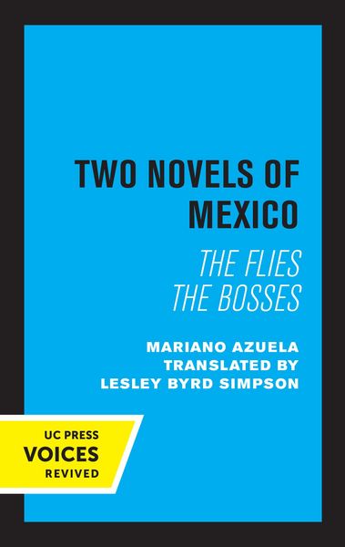Produktbild: Two Novels of Mexico