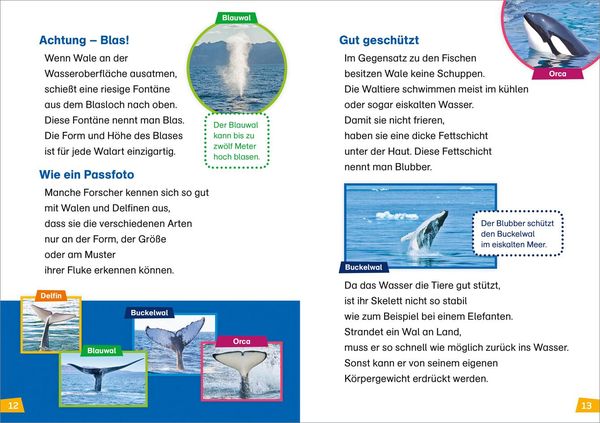 Produktbild: WAS IST WAS Erstes Lesen Band 1. Wale und Delfine