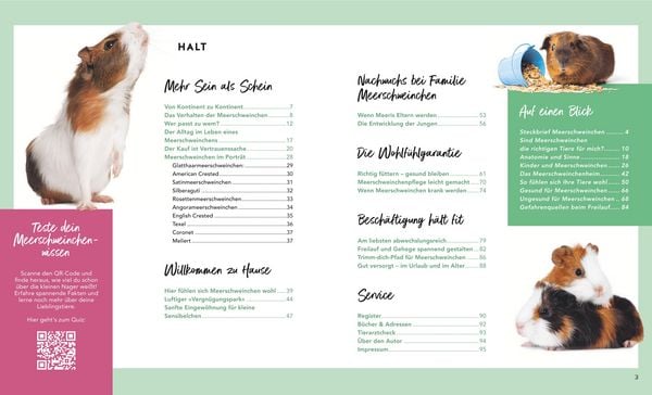 Produktbild: Meerschweinchen