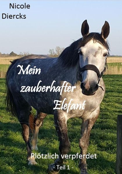 Produktbild: Mein zauberhafter Elefant