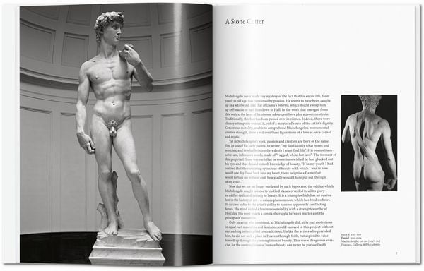 Produktbild: Michelangelo