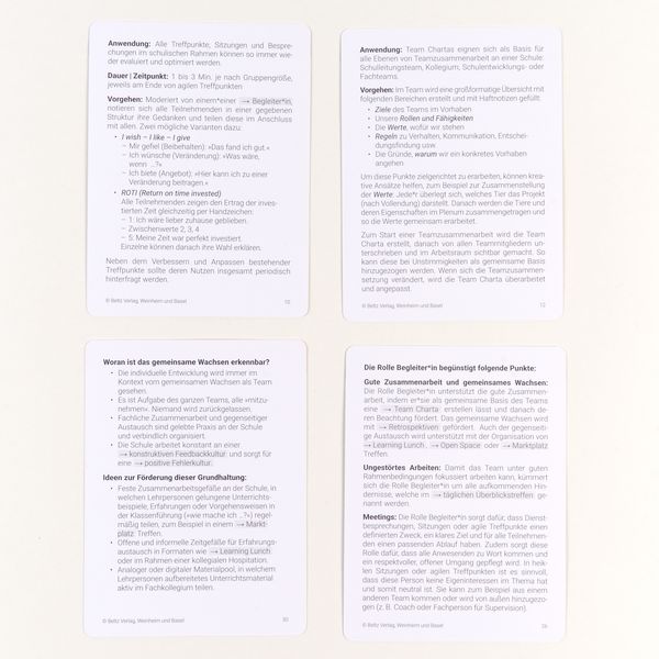 Produktbild: Schulen agil entwickeln