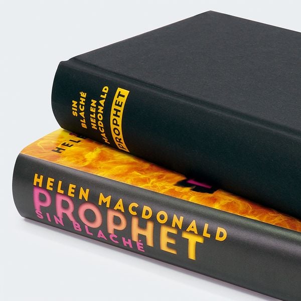 Produktbild: Prophet
