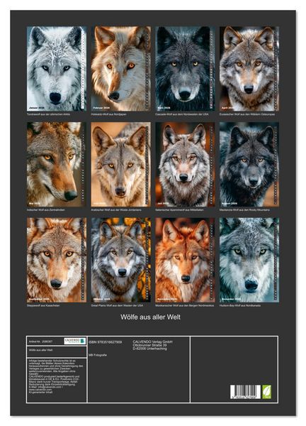 Produktbild: W&ouml;lfe aus aller Welt (Wandkalender 2026 DIN A2 hoch), CALVENDO Monatskalender