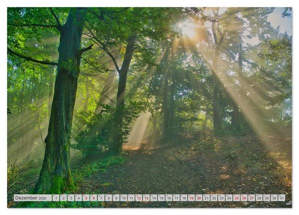 Produktbild: Streifzug durch das Weserbergland (Tischkalender 2026 DIN A5 quer), CALVENDO Monatskalender