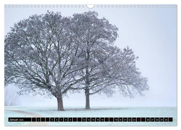 Produktbild: Mannheimer Impressionen. (Wandkalender 2026 DIN A3 quer), CALVENDO Monatskalender