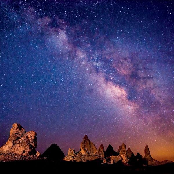 Produktbild: Leben auf unserem Planeten