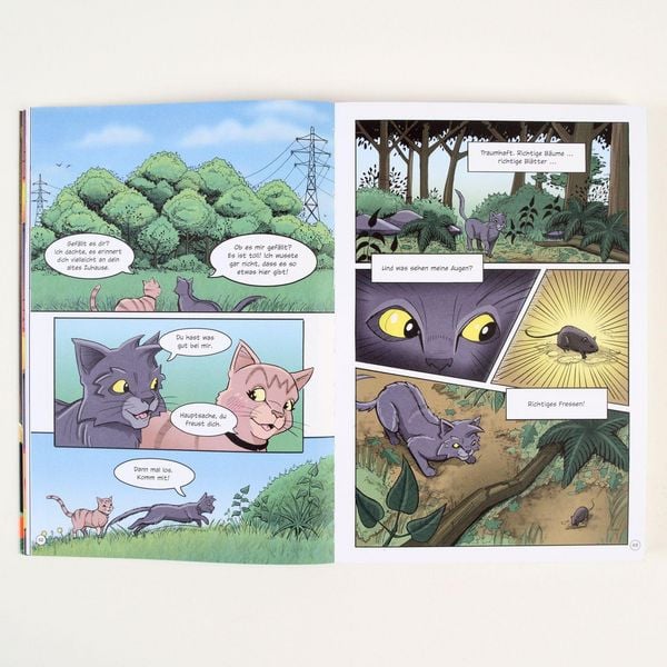Produktbild: Warrior Cats - Graustreifs Weg zur&uuml;ck