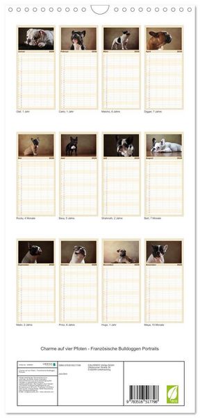 Produktbild: Familienplaner 2026 - Charme auf vier Pfoten - Franz&ouml;sische Bulldoggen Portraits mit 5 Spalten (Wandkalender, 21 x 45 cm) CALVENDO