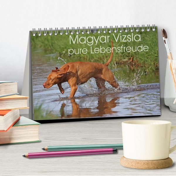 Produktbild: Magyar Vizsla - pure Lebensfreude (Tischkalender 2026 DIN A5 quer), CALVENDO Monatskalender