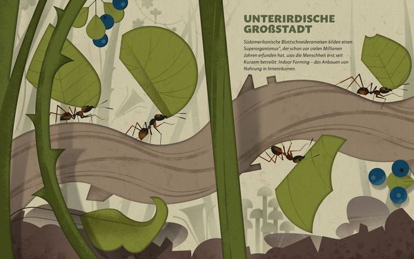 Produktbild: Zu Hause bei den wilden Tieren