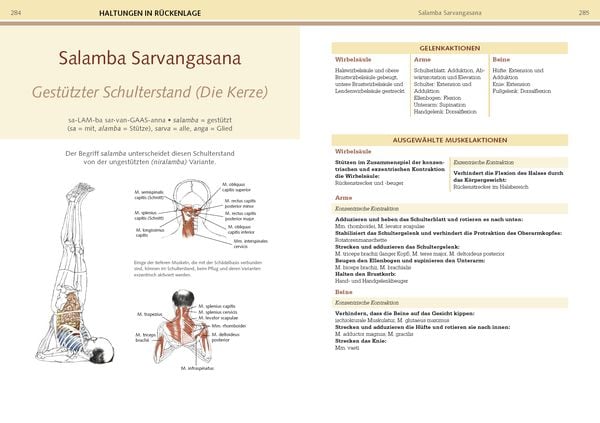 Produktbild: Yoga-Anatomie