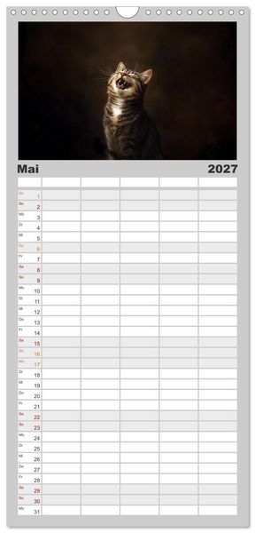 Produktbild: Familienplaner 2027 - Auch Katzen lachen gern mit 5 Spalten (Wandkalender, 21 x 45 cm) CALVENDO