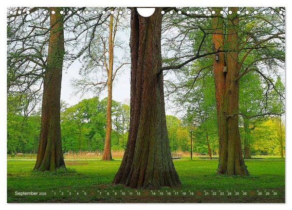 Produktbild: Impressionen - G&uuml;tersloh entlang der Dalke (Wandkalender 2026 DIN A4 quer), CALVENDO Monatskalender