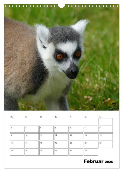 Produktbild: Katta Terminplaner (Wandkalender 2026 DIN A3 hoch), CALVENDO Monatskalender