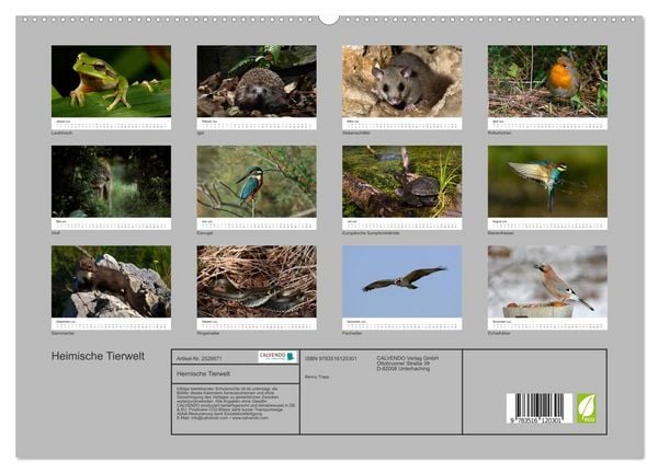 Produktbild: Heimische Tierwelt (hochwertiger Premium Wandkalender 2026 DIN A2 quer), Kunstdruck in Hochglanz