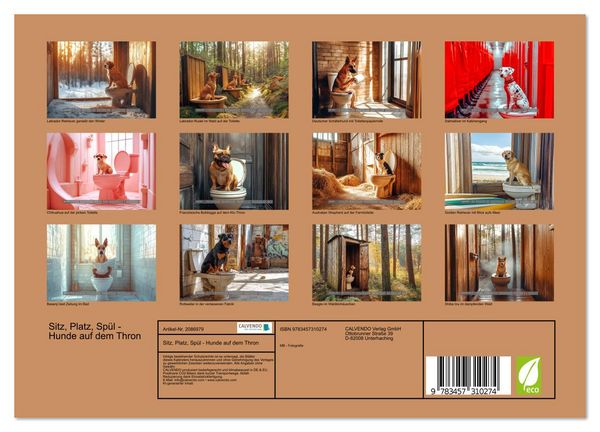 Produktbild: Sitz, Platz, Sp&uuml;l - Hunde auf dem Thron (Wandkalender 2026 DIN A4 quer), CALVENDO Monatskalender