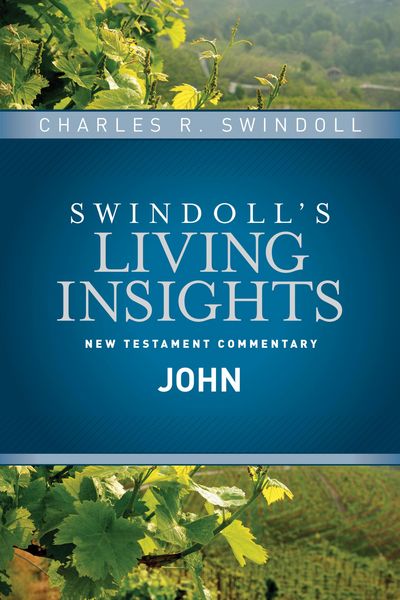 Produktbild: Insights on John