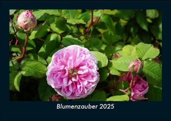 Produktbild: Blumenzauber 2025 Fotokalender DIN A5