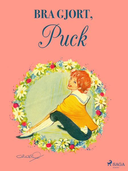 Produktbild: Bra gjort, Puck