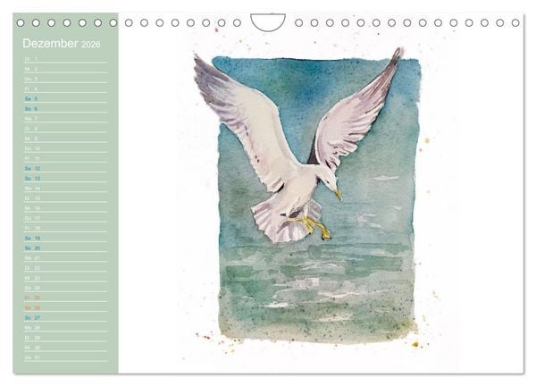 Produktbild: M&ouml;wen - Aquarelle von Julia Pasinski (Wandkalender 2026 DIN A4 quer), CALVENDO Monatskalender