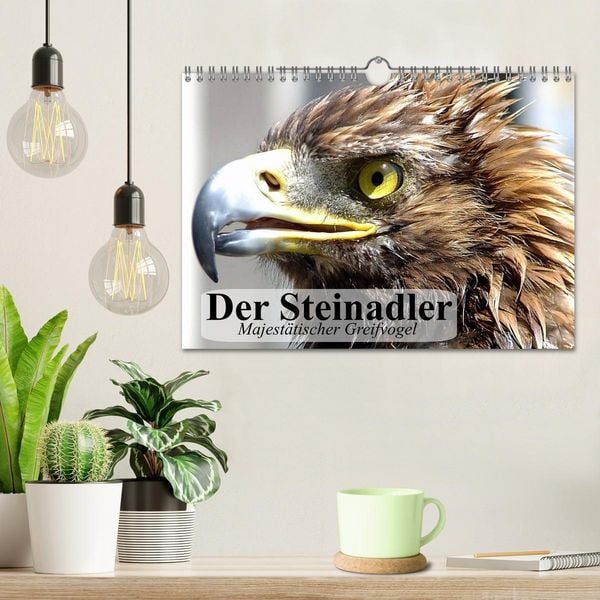 Produktbild: Der Steinadler. Majest&auml;tischer Greifvogel (Wandkalender 2026 DIN A4 quer), CALVENDO Monatskalender