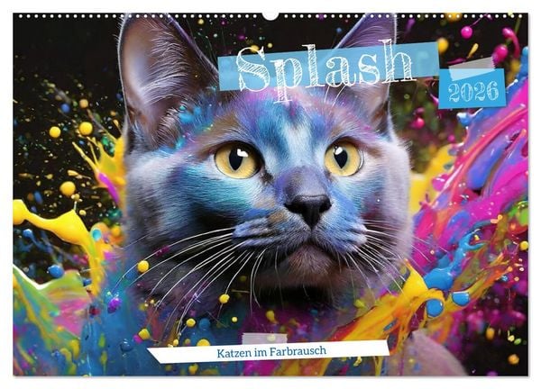 Produktbild: Splash - Katzen im Farbrausch (Wandkalender 2026 DIN A2 quer), CALVENDO Monatskalender