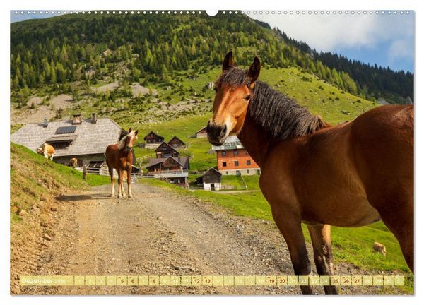 Produktbild: Die Feistritzer Alm - Wandern in den K&auml;rntner Bergen (hochwertiger Premium Wandkalender 2026 DIN A2 quer), Kunstdruck in Hochglanz
