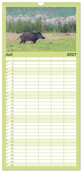 Produktbild: Familienplaner 2027 - Wildschweine &ndash; Wildlife Fotografien mit 5 Spalten (Wandkalender, 21 x 45 cm) CALVENDO