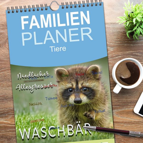 Produktbild: Familienplaner 2026 - Waschb&auml;r - Niedlicher Allesfresser mit 5 Spalten (Wandkalender, 21 x 45 cm) CALVENDO