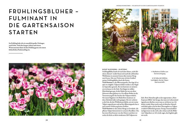 Produktbild: Blumen, Kohl & Rock'n'Roll